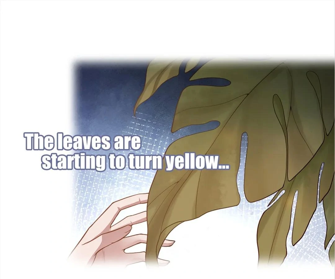 Borrowed Hearts Chapter 27 - Page 1