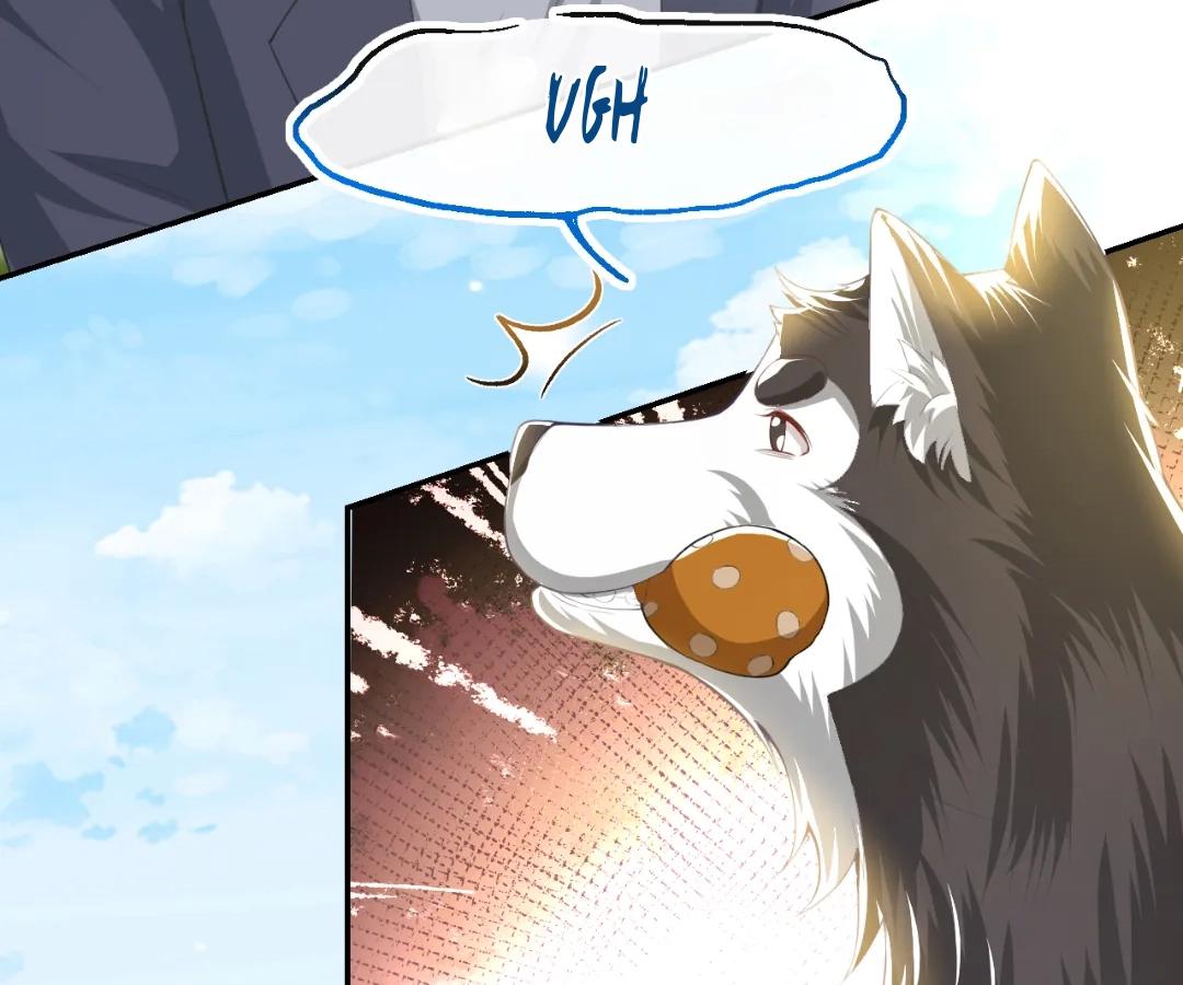 Borrowed Hearts Chapter 68 - Page 4