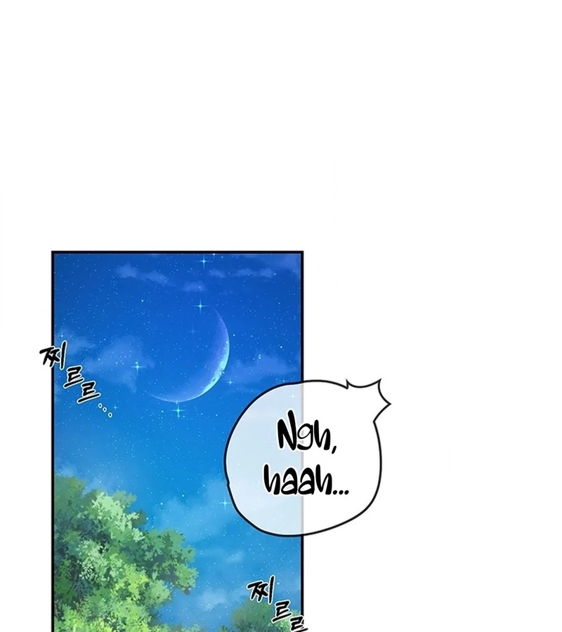 Bride of the Guardian Deity Chapter 5 - Page 1