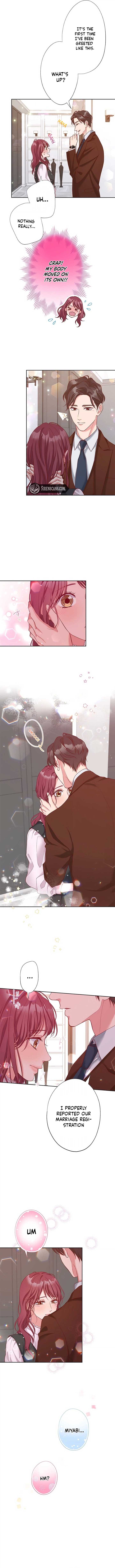 Business Marriage – If You Fall in Love, We’ll Get a Divorce Chapter 44 - Page 1