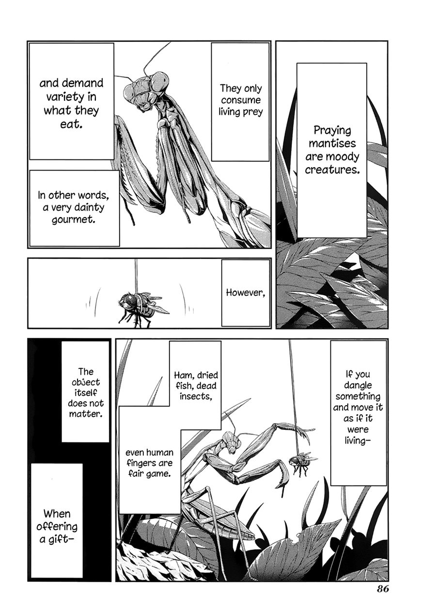 Caterpillar Chapter 20 - Page 18