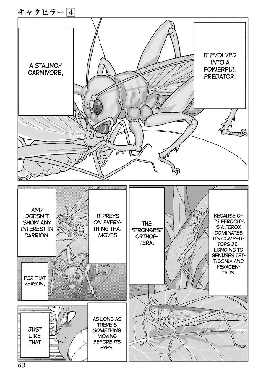 Caterpillar Chapter 27 - Page 16