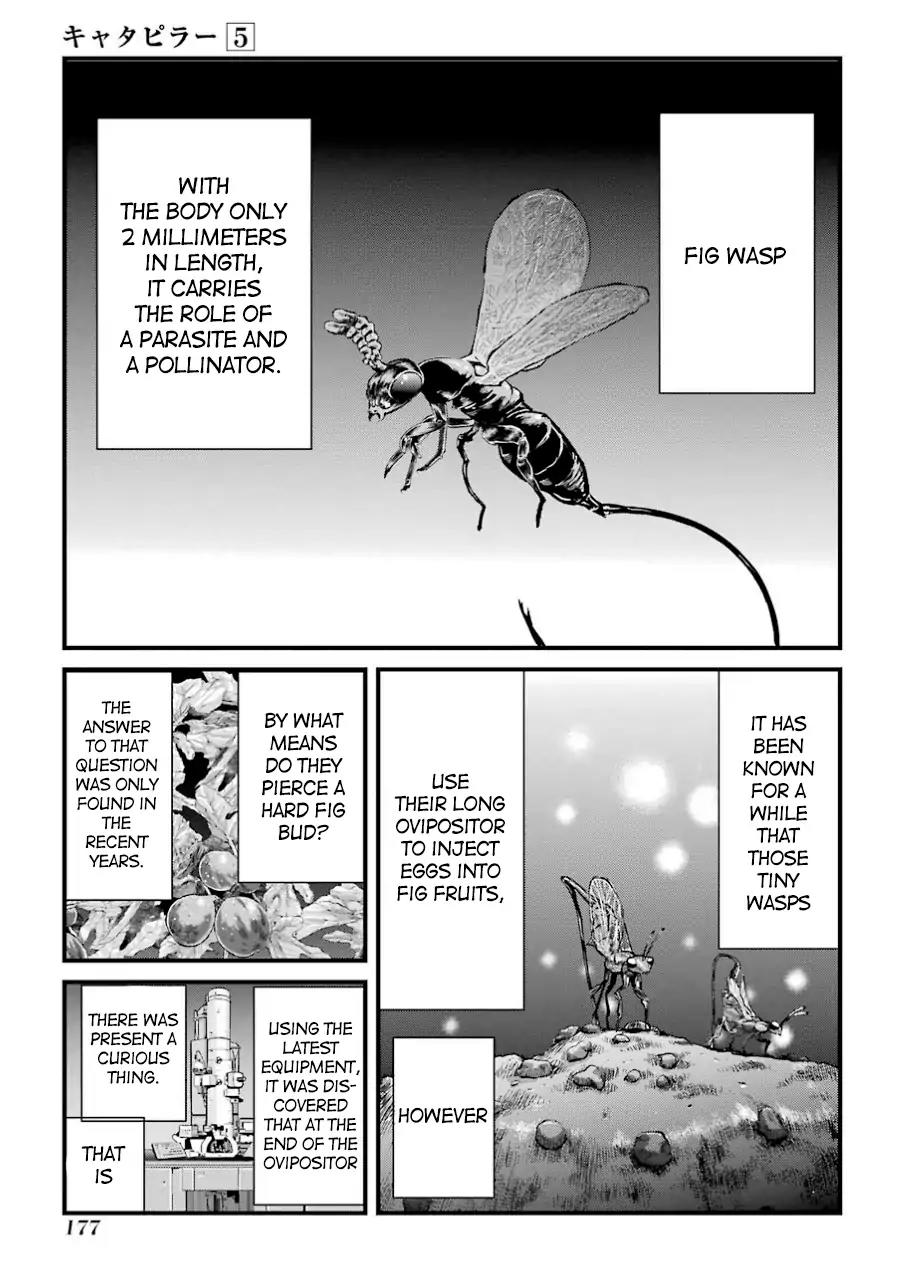 Caterpillar Chapter 41 - Page 2