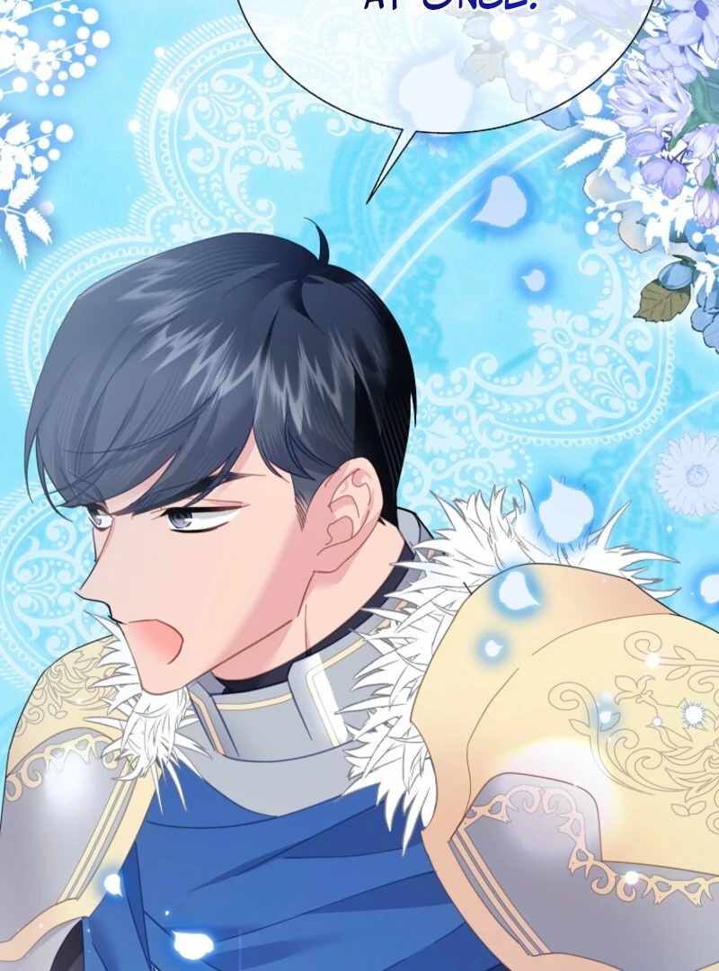 Cavier Falcon Princess Chapter 138 - Page 127