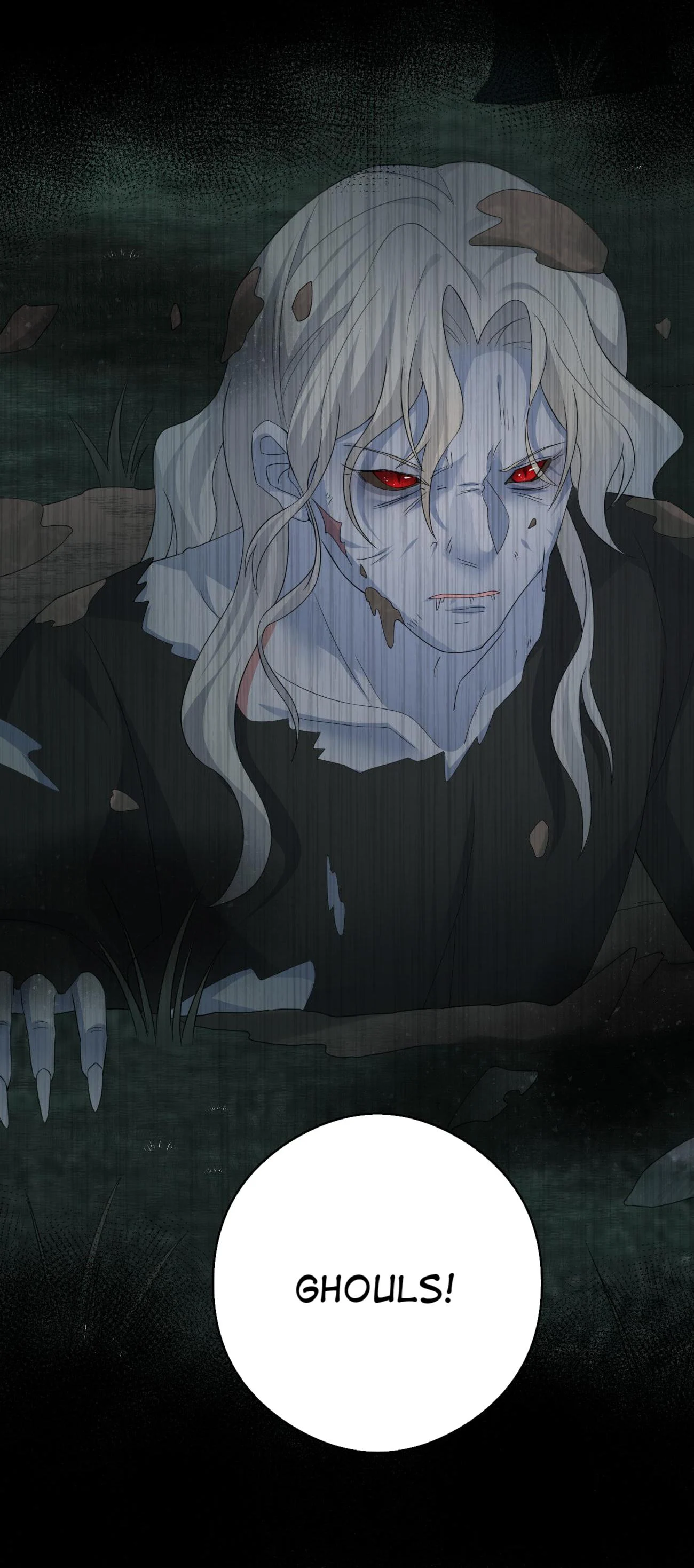 Chief of the Novice Village Chapter 19 - Page 13