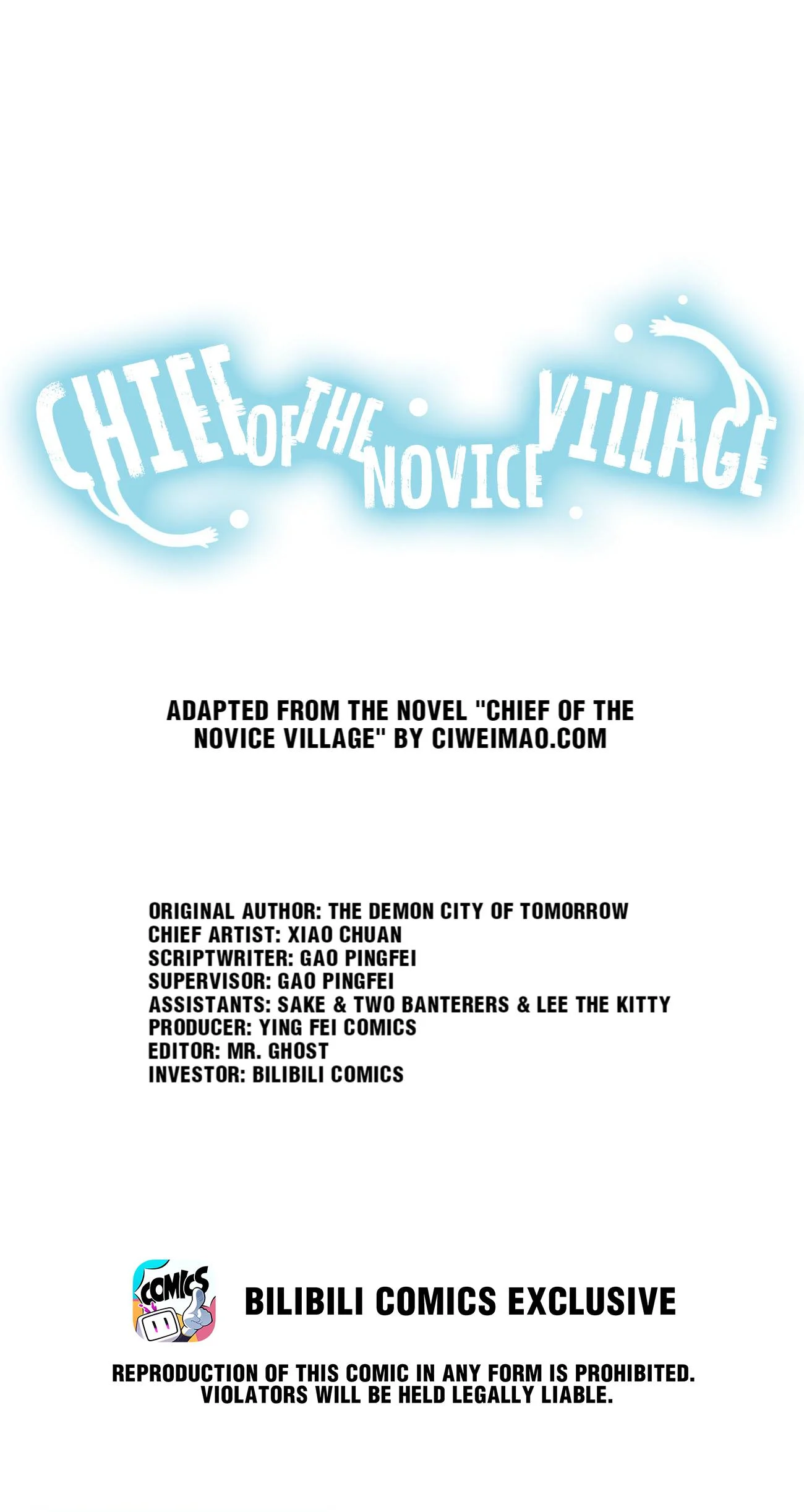 Chief of the Novice Village Chapter 29 - Page 1