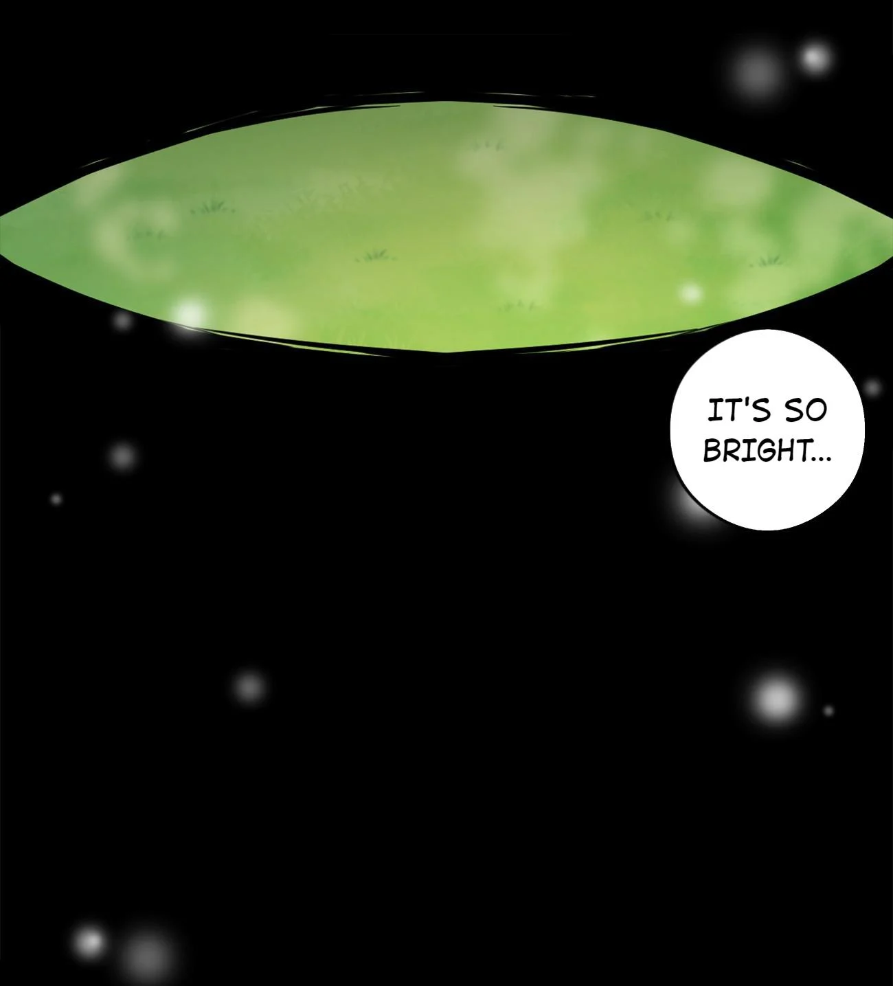 Chief of the Novice Village Chapter 8 - Page 3
