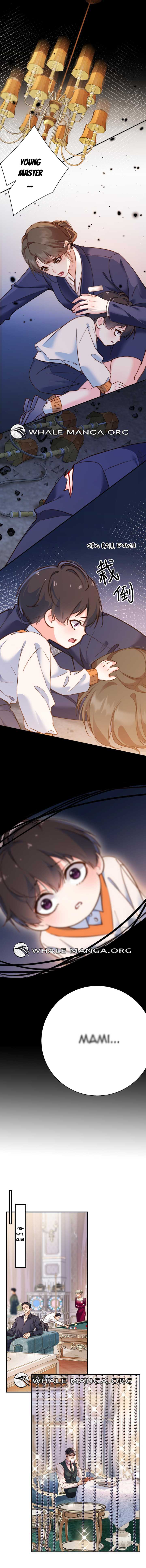 Chief’s Cute Baby: Buy One Get One Free Chapter 5 - Page 3
