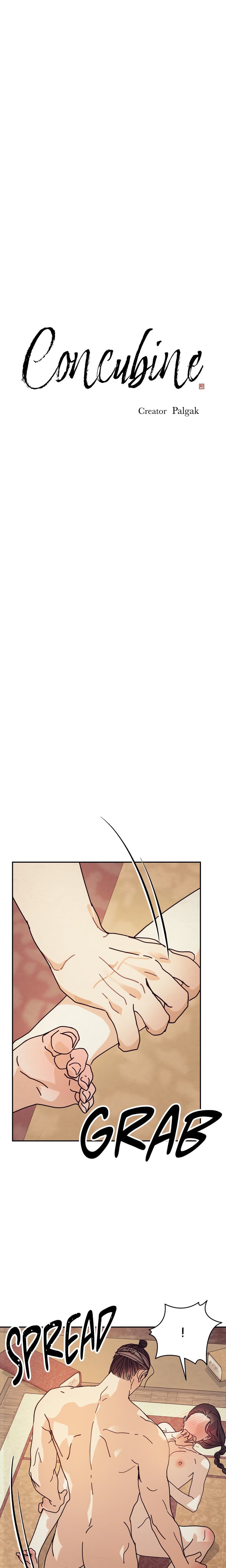 Concubine (Palgak) Chapter 3 - Page 1