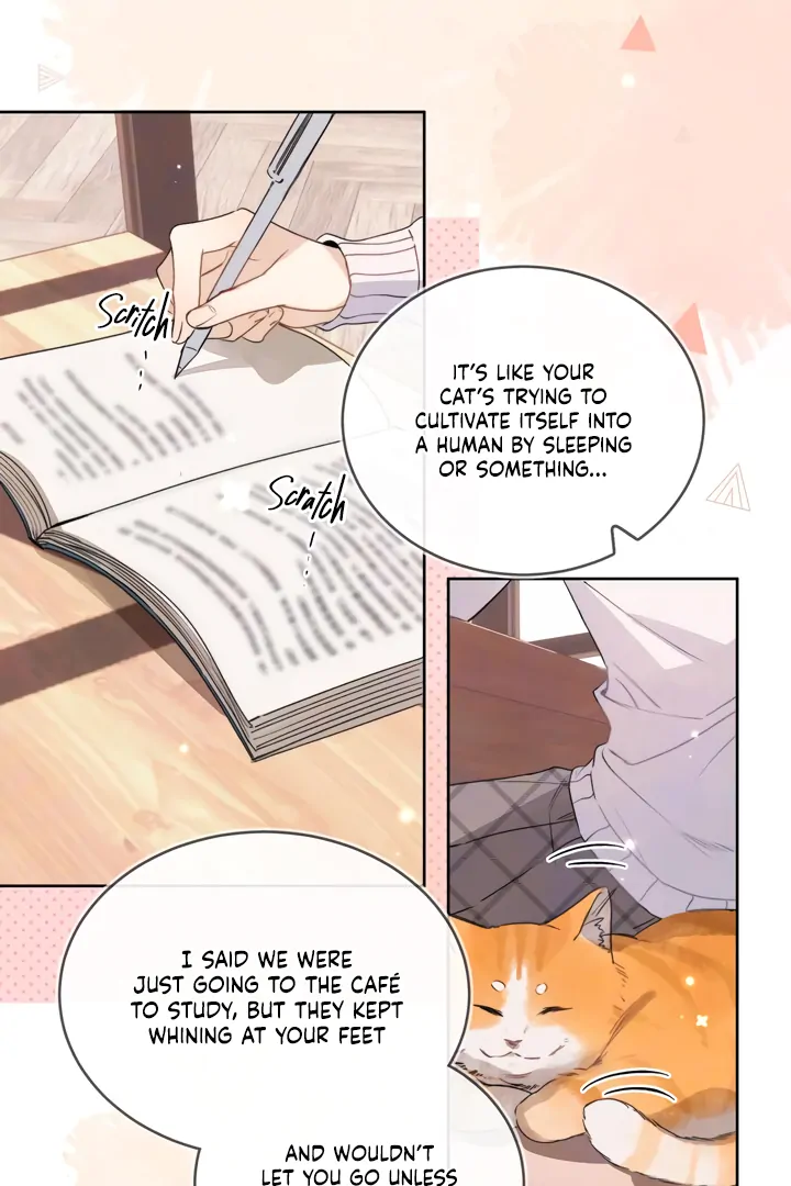 Confession Chapter 47 - Page 25