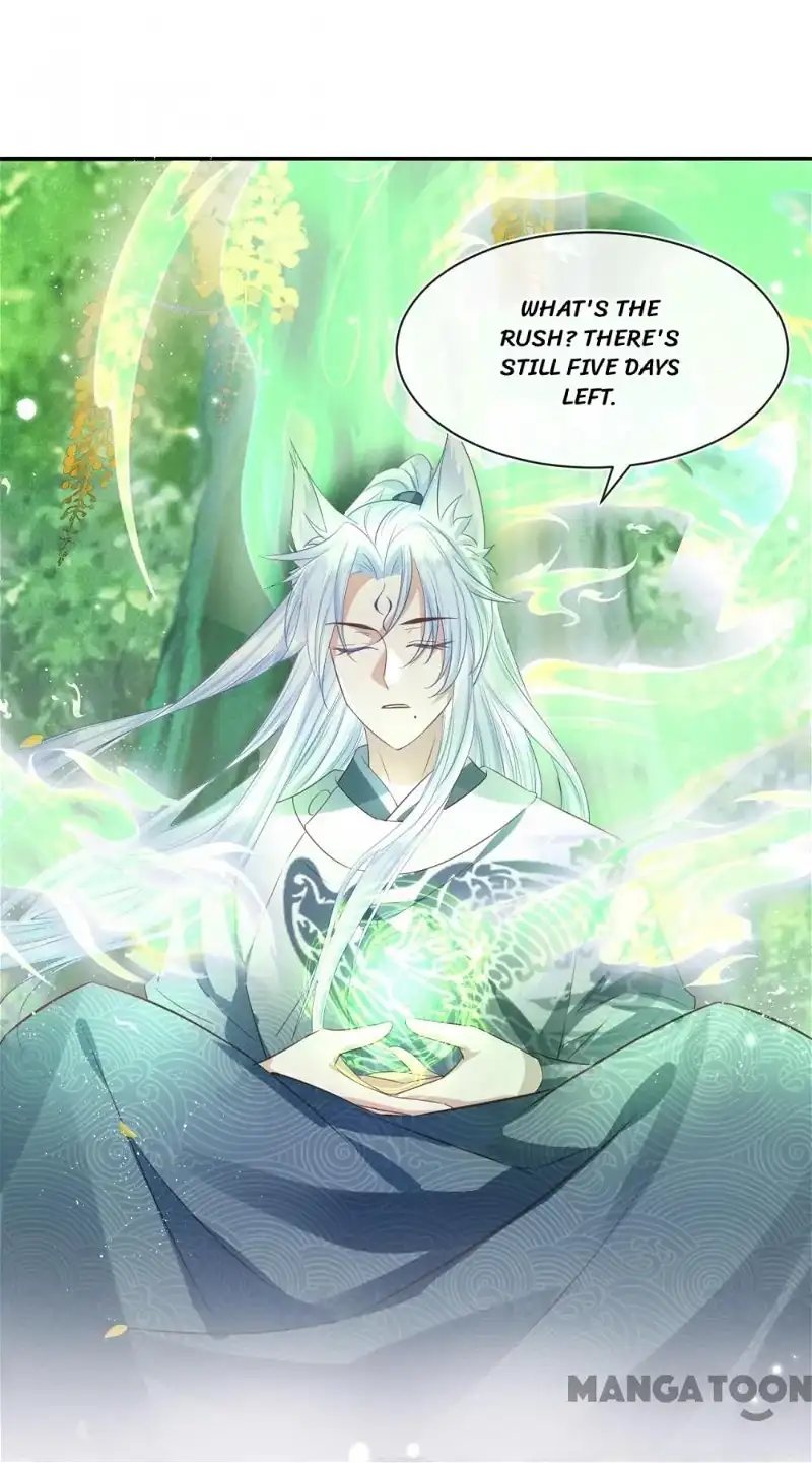 Cynical Master Raises Rabbit Spirit Chapter 15 - Page 14