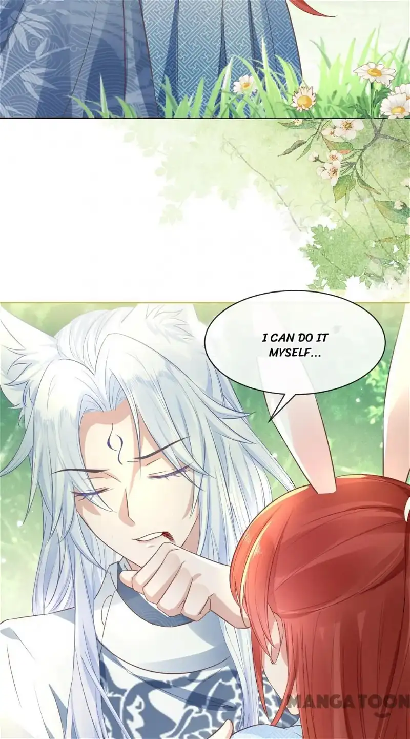 Cynical Master Raises Rabbit Spirit Chapter 15 - Page 3