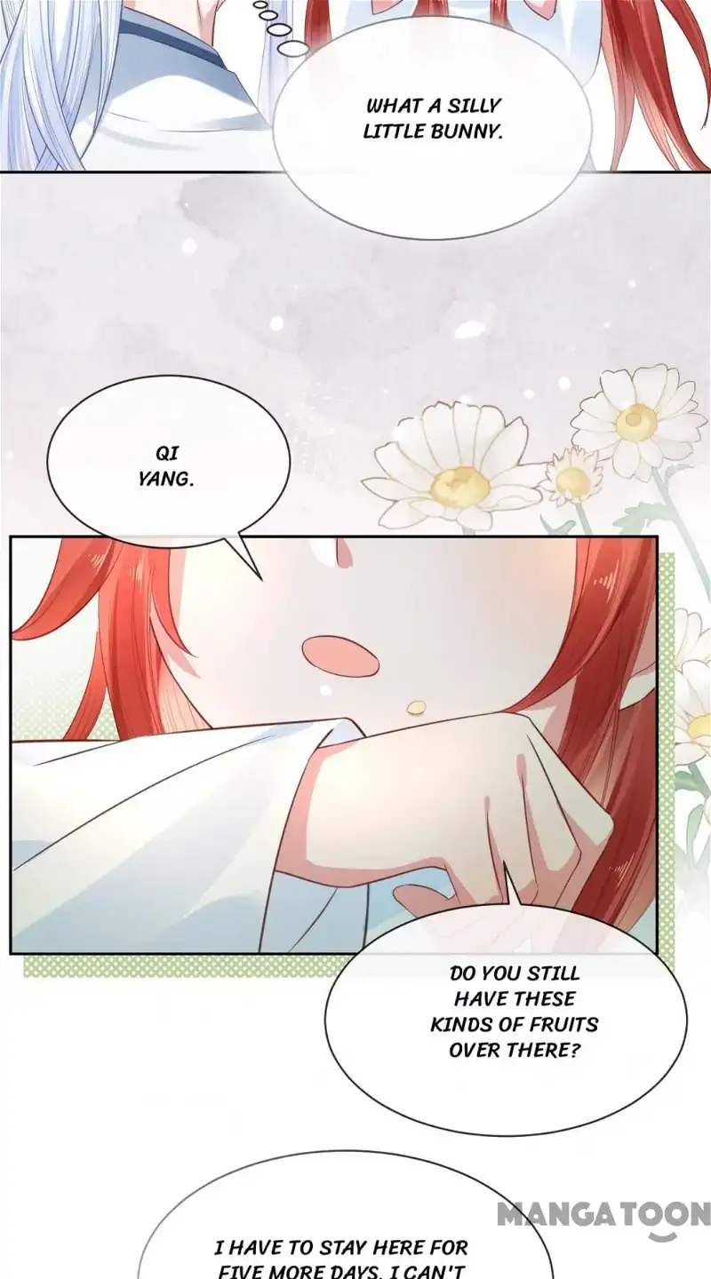 Cynical Master Raises Rabbit Spirit Chapter 15 - Page 25