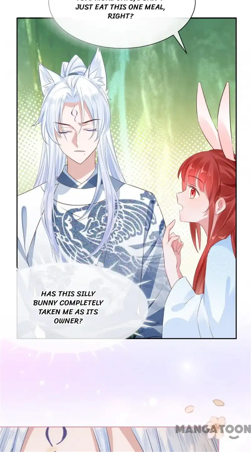 Cynical Master Raises Rabbit Spirit Chapter 15 - Page 26