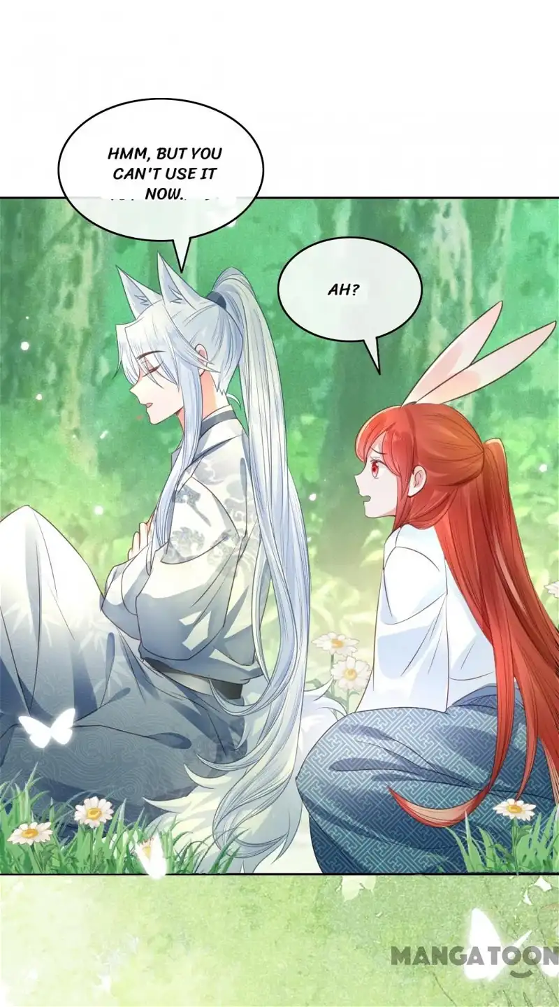 Cynical Master Raises Rabbit Spirit Chapter 15 - Page 39