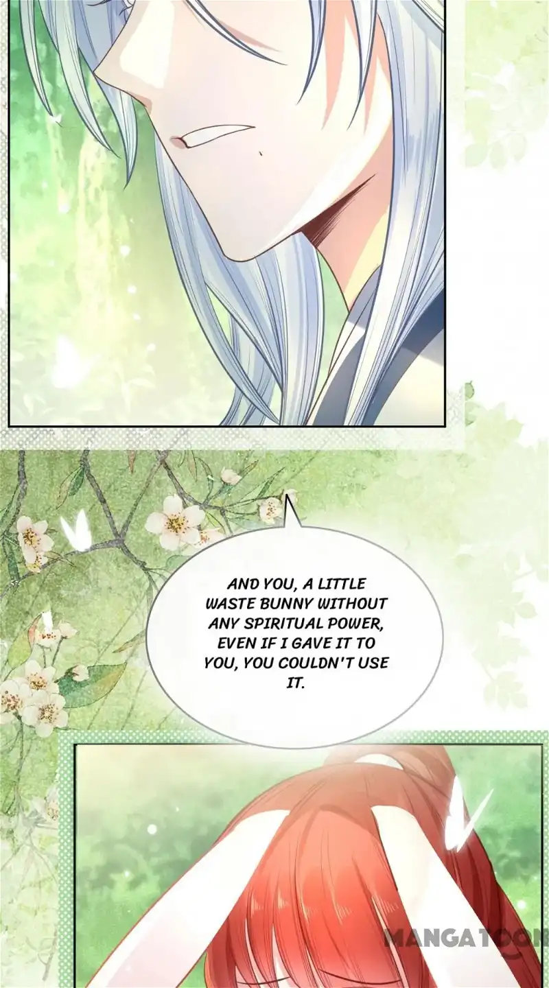 Cynical Master Raises Rabbit Spirit Chapter 15 - Page 41