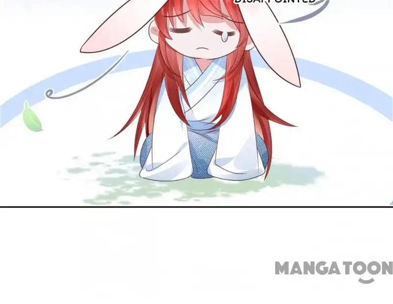 Cynical Master Raises Rabbit Spirit Chapter 15 - Page 43
