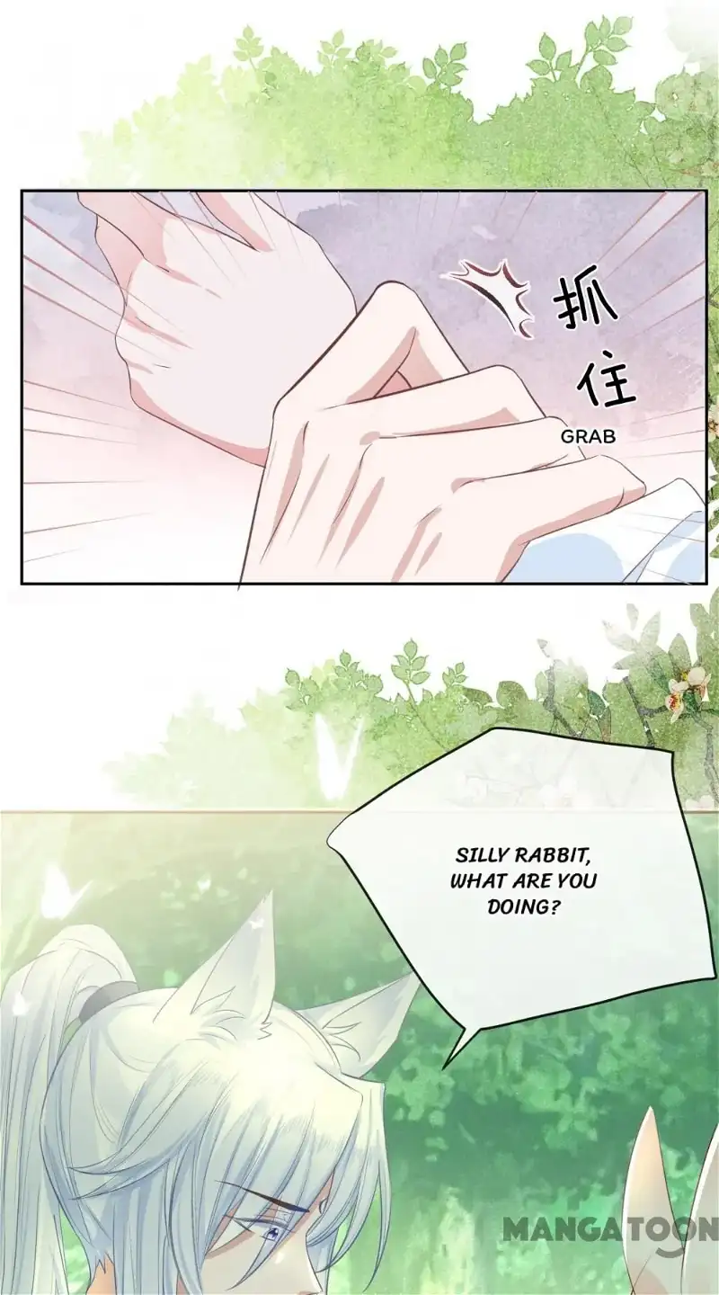 Cynical Master Raises Rabbit Spirit Chapter 15 - Page 6