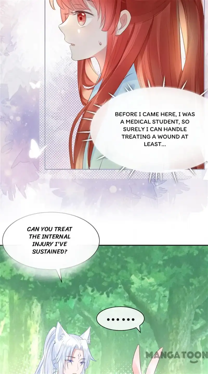 Cynical Master Raises Rabbit Spirit Chapter 15 - Page 8