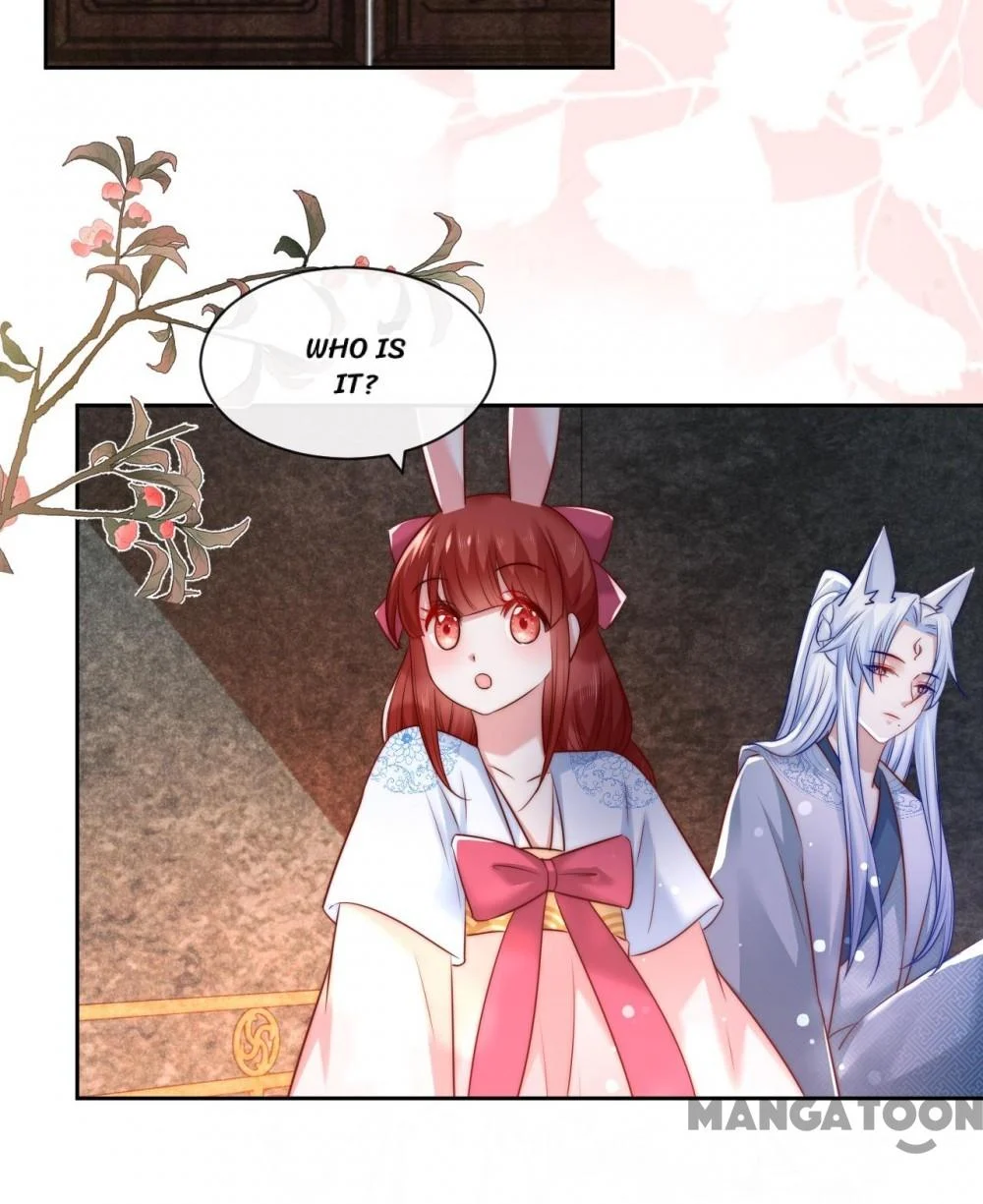 Cynical Master Raises Rabbit Spirit Chapter 26 - Page 27