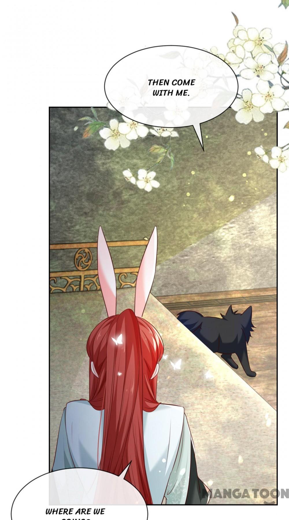 Cynical Master Raises Rabbit Spirit Chapter 29 - Page 35
