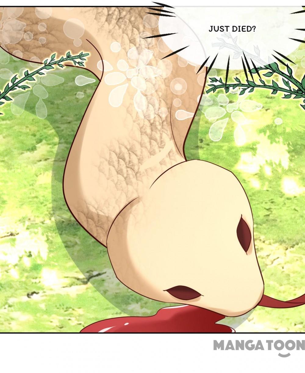 Cynical Master Raises Rabbit Spirit Chapter 30 - Page 27