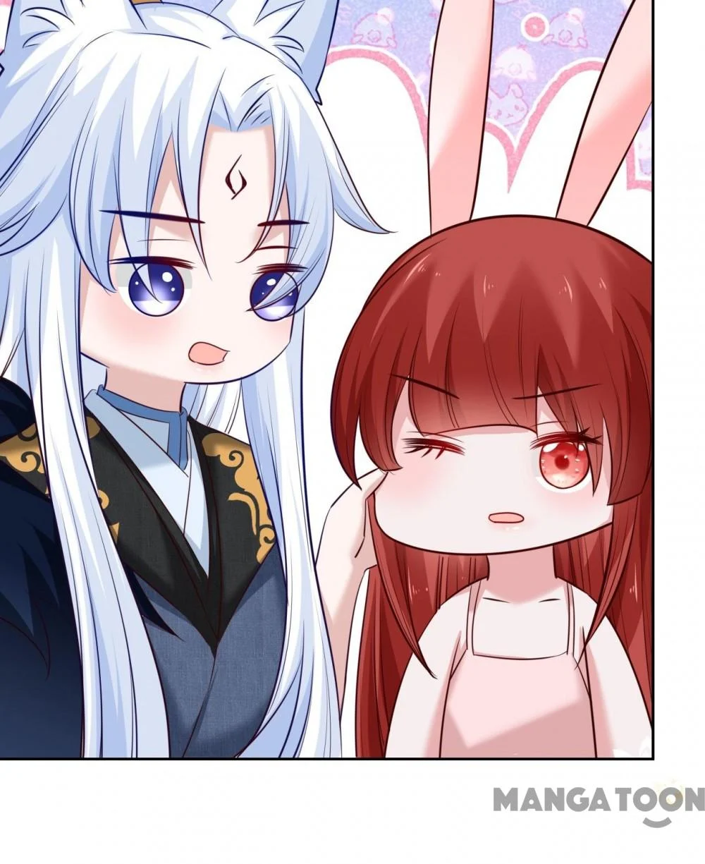 Cynical Master Raises Rabbit Spirit Chapter 32 - Page 19