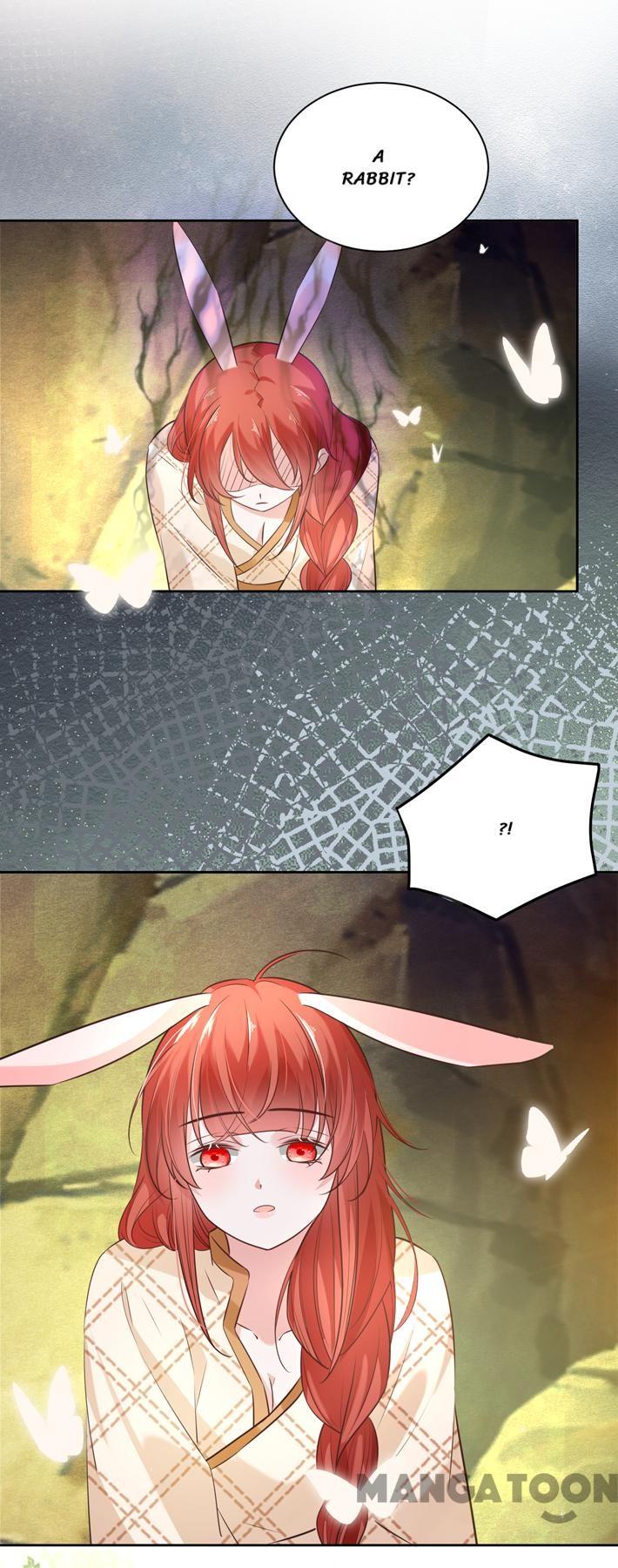 Cynical Master Raises Rabbit Spirit Chapter 42 - Page 26