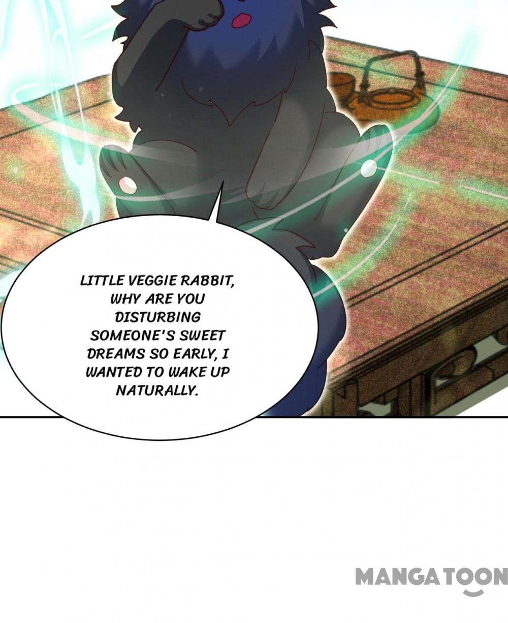Cynical Master Raises Rabbit Spirit Chapter 44 - Page 9