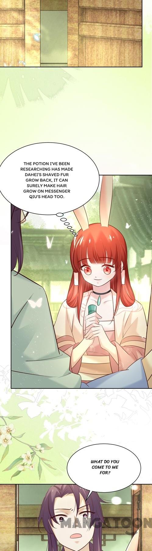 Cynical Master Raises Rabbit Spirit Chapter 47 - Page 2