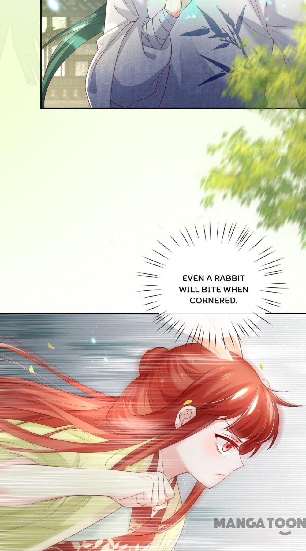 Cynical Master Raises Rabbit Spirit Chapter 49 - Page 24