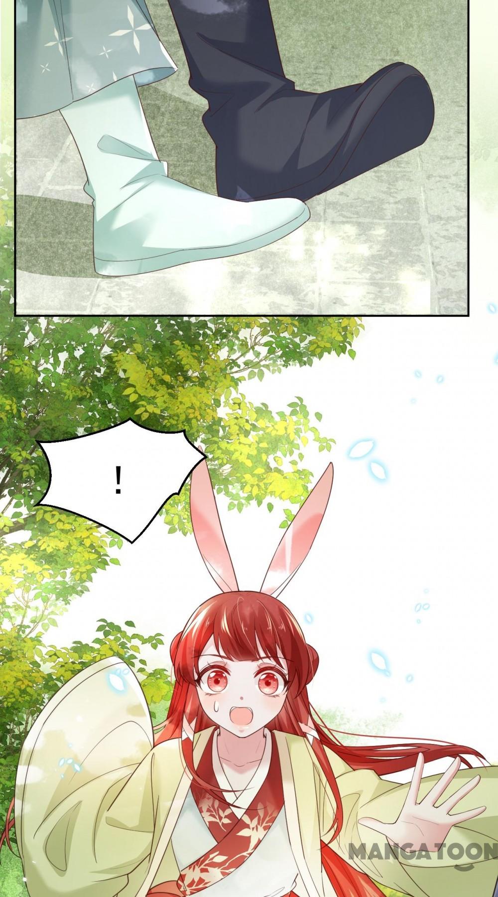 Cynical Master Raises Rabbit Spirit Chapter 49 - Page 6