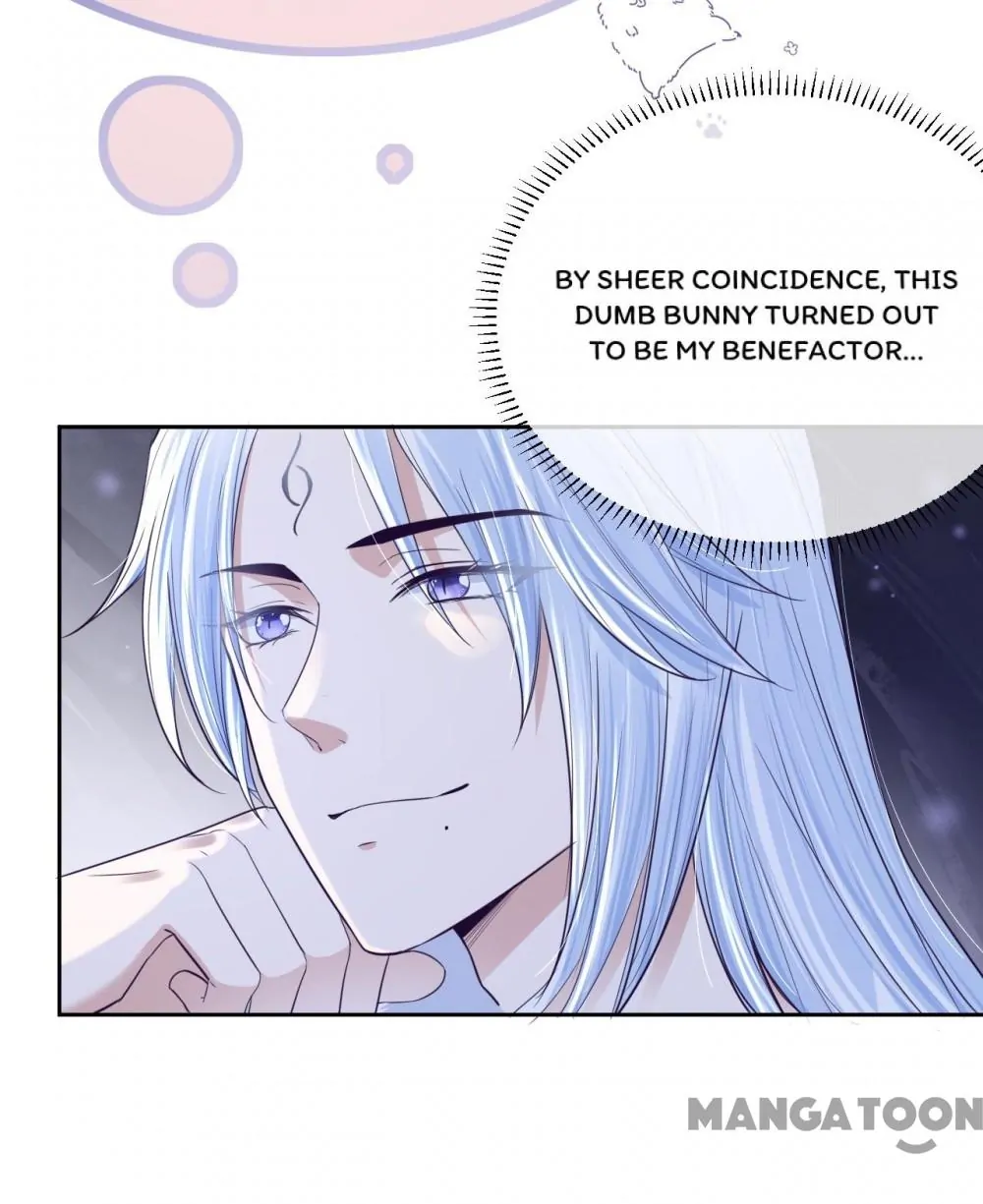 Cynical Master Raises Rabbit Spirit Chapter 5 - Page 35