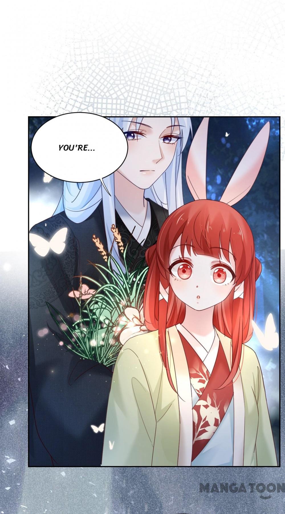 Cynical Master Raises Rabbit Spirit Chapter 51 - Page 1