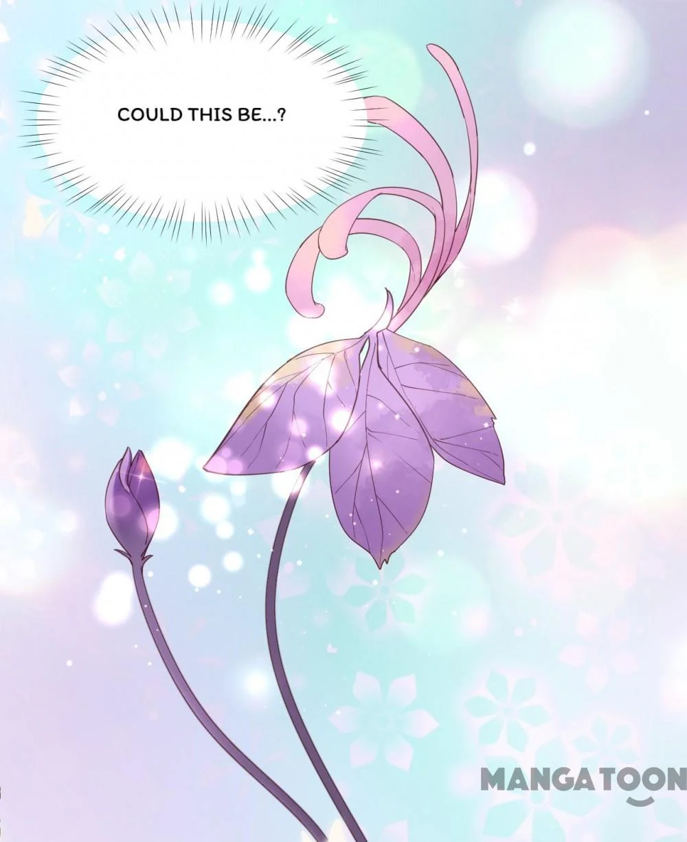 Cynical Master Raises Rabbit Spirit Chapter 51 - Page 27