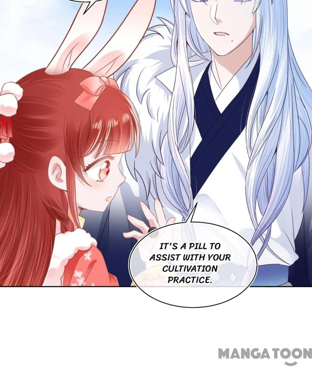 Cynical Master Raises Rabbit Spirit Chapter 7 - Page 19