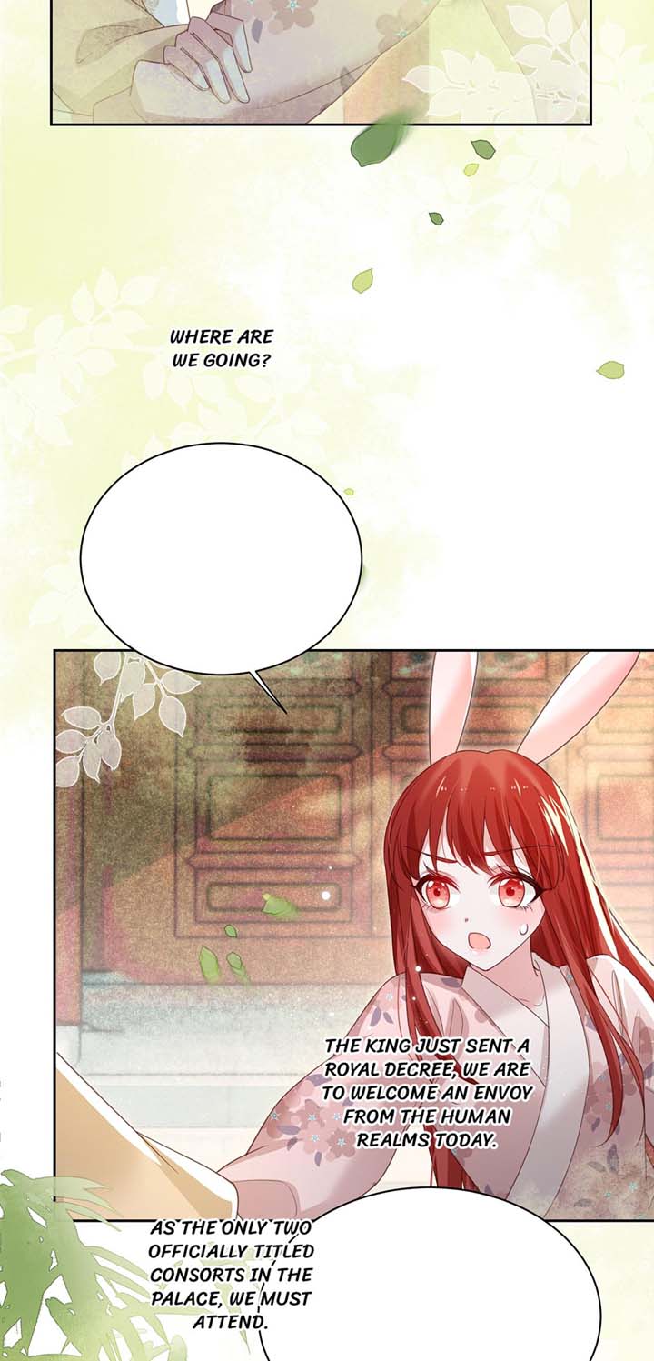 Cynical Master Raises Rabbit Spirit Chapter 76 - Page 6