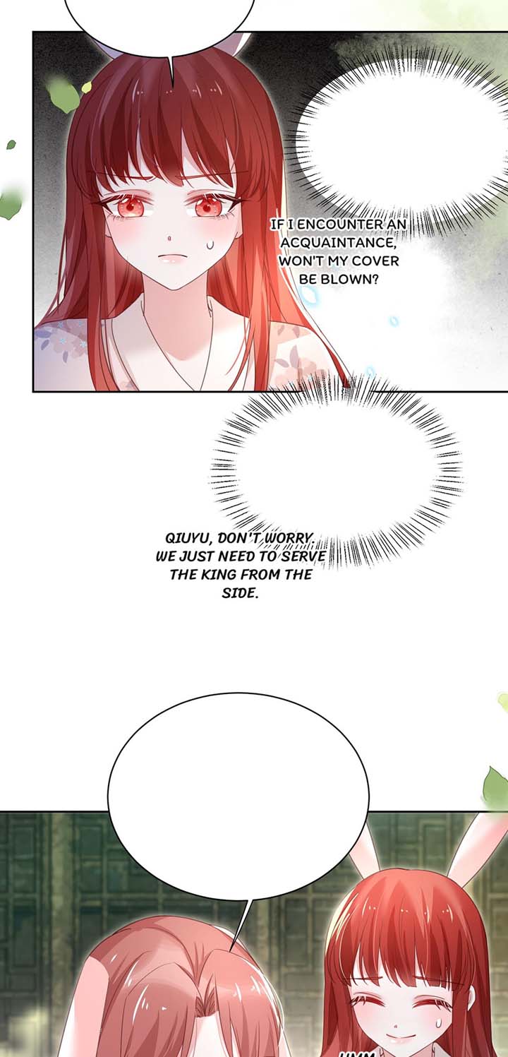 Cynical Master Raises Rabbit Spirit Chapter 76 - Page 8
