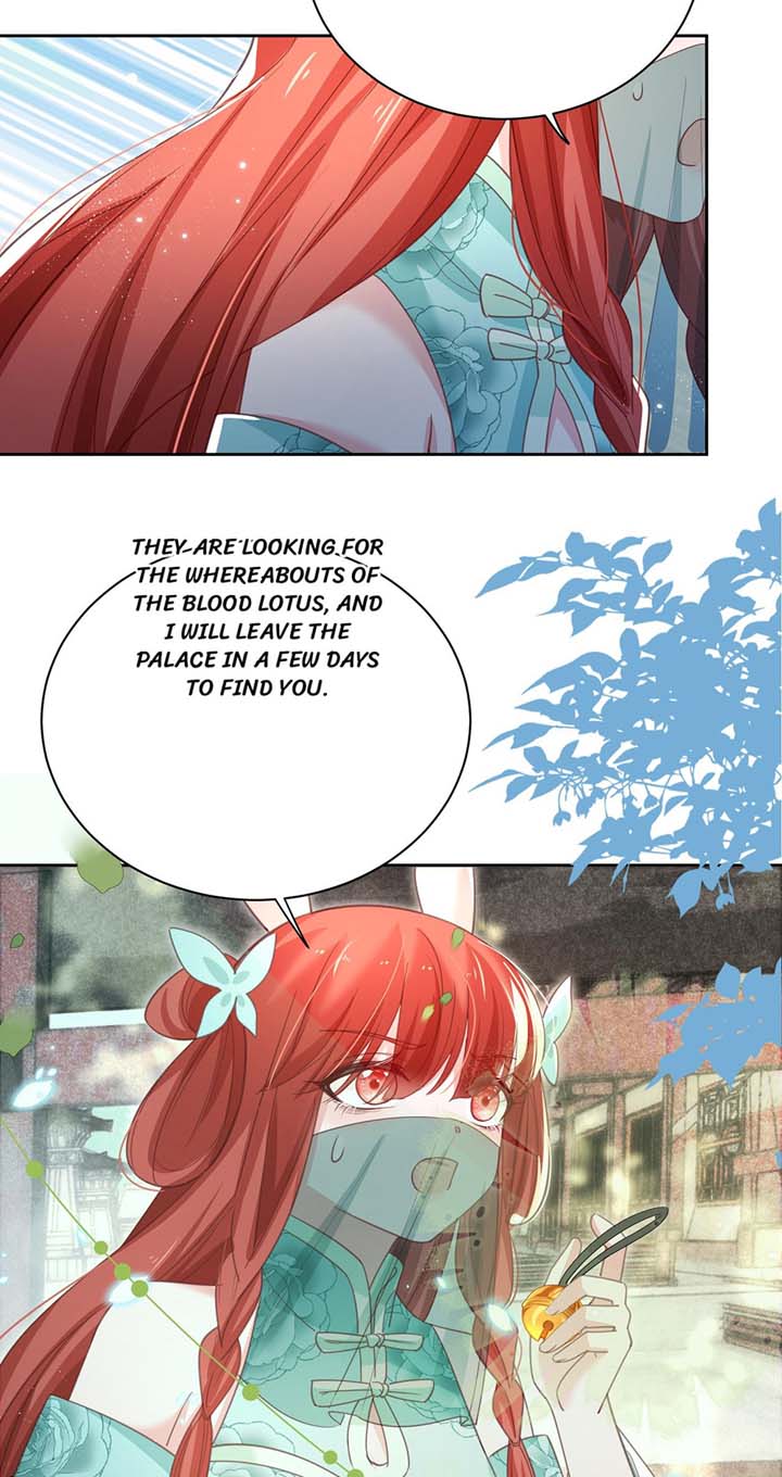 Cynical Master Raises Rabbit Spirit Chapter 77 - Page 2