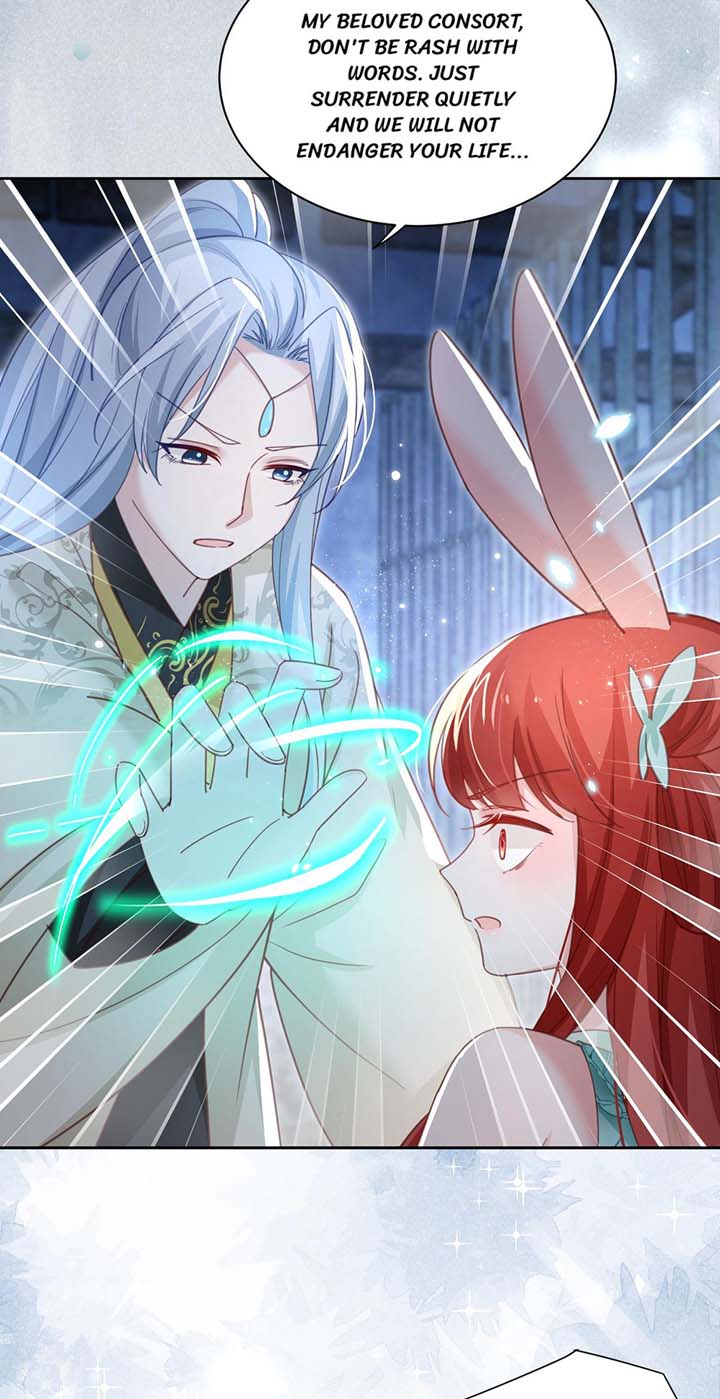 Cynical Master Raises Rabbit Spirit Chapter 79 - Page 5