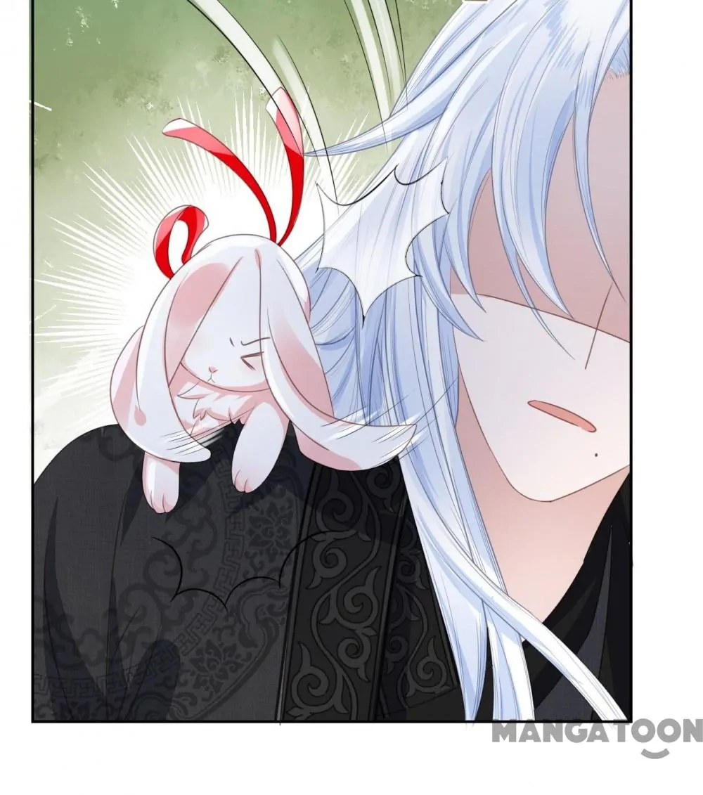 Cynical Master Raises Rabbit Spirit Chapter 9 - Page 40
