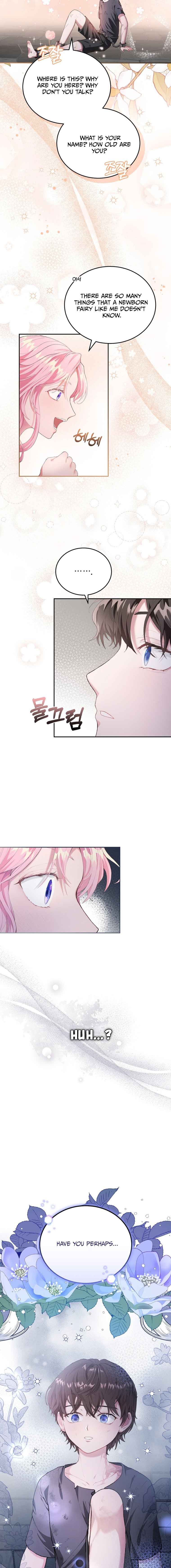 Dear Fairy, Please Contract With Me Chapter 1 - Page 17