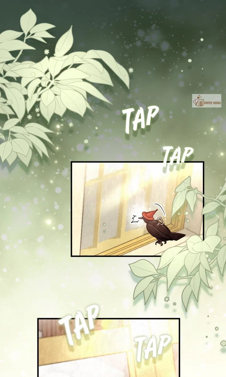 Dear, Not Cunning Witch Chapter 3 - Page 0