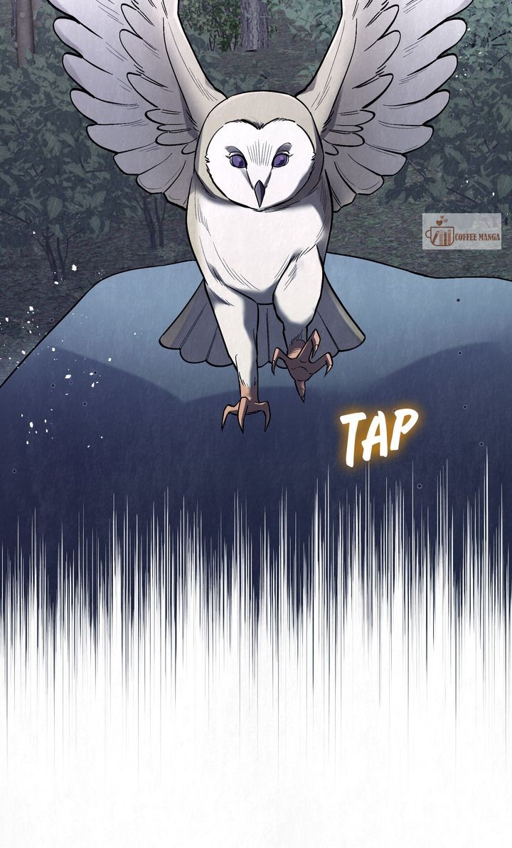 Dear, Not Cunning Witch Chapter 38 - Page 43