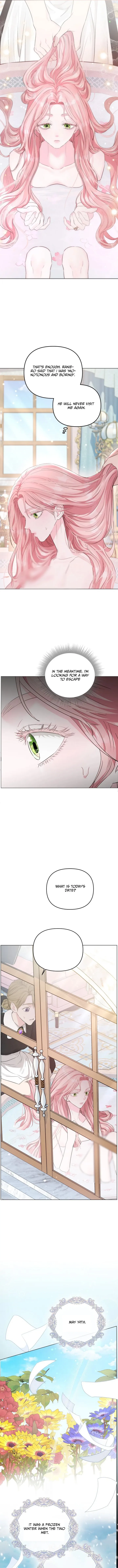 Dear Villainous Husband , the One to be Obsessed with is Over There Chapter 3 - Page 5