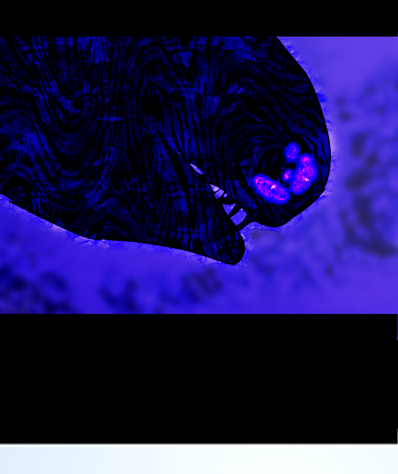 Deor Chapter 77 - Page 19