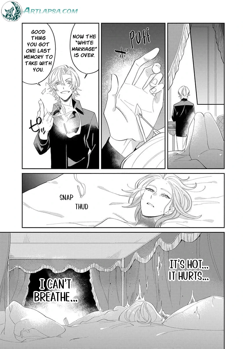 Desperate Noblewoman’s Magnificent Divorce Chapter 1 - Page 19