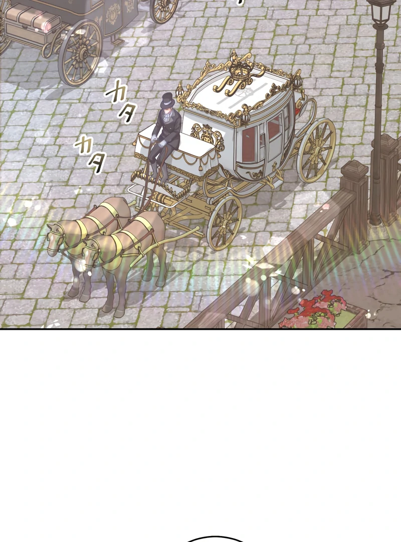 Disgraced Wife? This Beloved Genius Mage Will Secure Her Divorce! Chapter 27 - Page 107