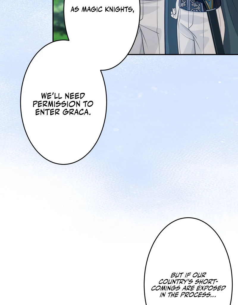 Disgraced Wife? This Beloved Genius Mage Will Secure Her Divorce! Chapter 27 - Page 47