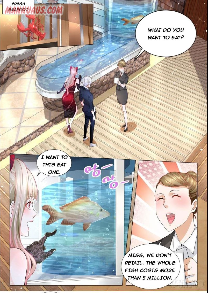 Divine Hero’s Skyfall System Chapter 237 - Page 0